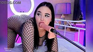 This Naughty Little 18+ Fish Is Not Afraid To Swallow The Bait