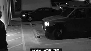 Slut blows security guard to get out of fine. Hidden cam captures the cheating.