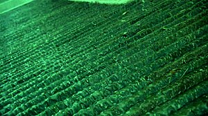 beauty brunette milf mom: 'fuck me in my home'