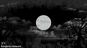 Rachel Starr Fucks A Florist