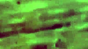 horny cuties ava valentina and selina moon get milked by rome major