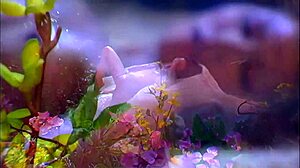 Love Making On The Lap Of Nature