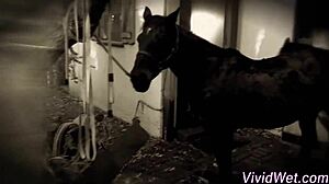 Tasted Pornstar Sucks