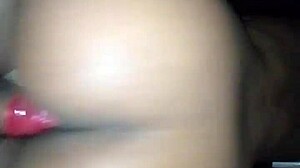 Amateurs in south africa