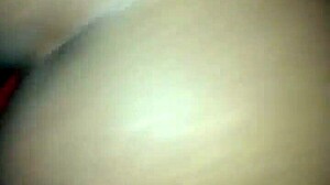 Amateurs in south africa