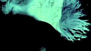 porn from the swinging sixties shadows