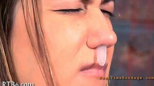 bdsm slave collar basics for beginners in safe settings