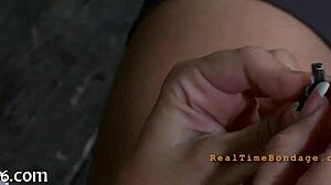 bdsm slave collar basics for beginners in safe settings