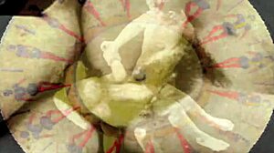 Vintage erotic drawings of hairy beavers