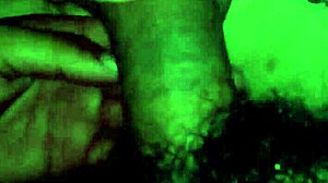 Amateur sucking in homemade video