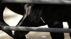 Dani Daniels Rides Dick Farm