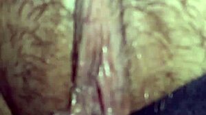 Moglie Curiosa's Intriguing Solo