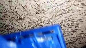 Moglie Curiosa's Intriguing Solo