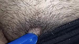 Moglie Curiosa's Intriguing Solo