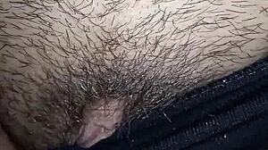 Moglie Curiosa's Intriguing Solo