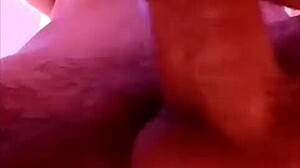 fodendo novinha no motel