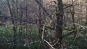 i wanna go shopping with you and be grateful