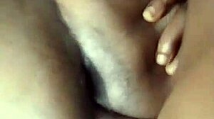 Nigarchrist updates petal on jun 13 2025