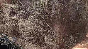 Outdoor blowjob in public voyeur setting.