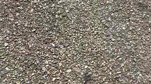 dirty feet in fetish close up