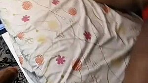 Nigarchrist updates petal on jun 13 2025