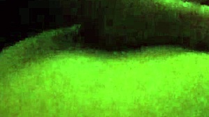 wild screams echo as i pound my ex's ass hard