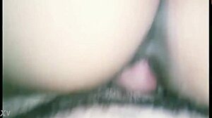 Gordita Puta Cabalgando Hard!