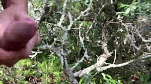 Clitlicker662 - update 40 - img 1437 - jun 30 2025 😏