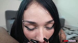 vinte aninhos garota tímida adora porra na buceta patty raven lp produções