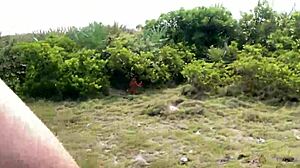 Clitlicker662 - update 40 - img 1437 - jun 30 2025 😏