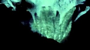 i remember that vintage seventies porn shoot