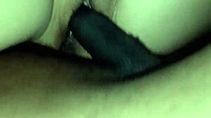 Riding big uncut cock in pantyhose.