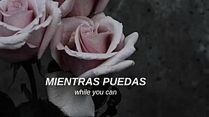 mcr - i dont love you sub español