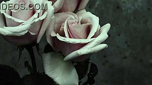 mcr - i dont love you sub español