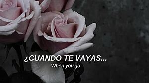 mcr - i dont love you sub español