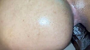 Atl Tranny Tslexiistone Fucked Raw Bareback By Thelastrealtop Sexgodpicasso