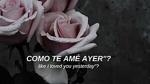 mcr - i dont love you sub español