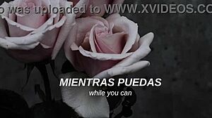 mcr - i dont love you sub español