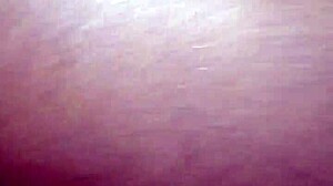 perfect sessions inertia with pretty wet details