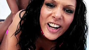 mixed race busty beauty takes a healthy slice of the monster bbc shaft