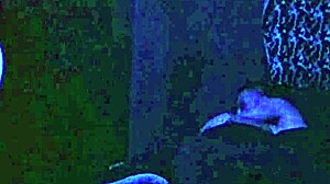 she wakes up thinking it's her husband, but it's her brother-in-law for passionate sex