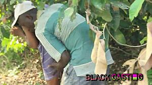drama time outdoor fuck with local africans caught in the bush