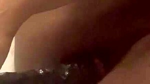 ebony amateur toys her ass solo