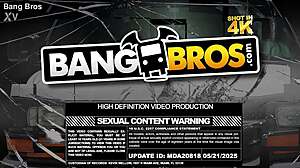 Jadilica as Maid in Anal Scene