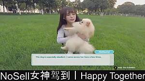 Exploring Joyful Dating And Gaming Experiences In Happy Together Part Five