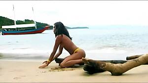 Cute Petite Brazilian Latina Screams Rough Vacation Fuck with Natural Tits Bouncing Wildly