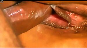 Cute Petite Brazilian Latina Screams Rough Vacation Fuck with Natural Tits Bouncing Wildly