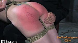 dig into this sadomasochism fetish madness?