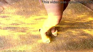 sexy colombian teen bruna santos gapes ass in first bbc tap dap gangbang