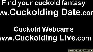 hey cuckold slave wanna be my new toy for bdsm wife torment?